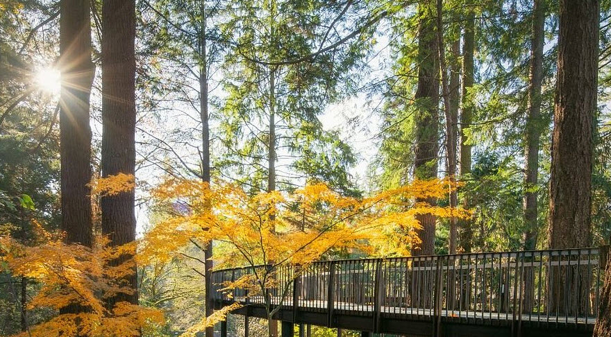 Leach Botanical Garden, United States